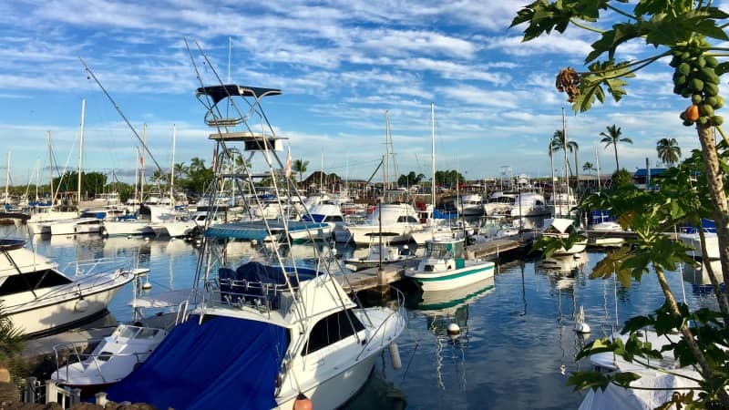 Boi cung ca heo o Hawaii anh 3