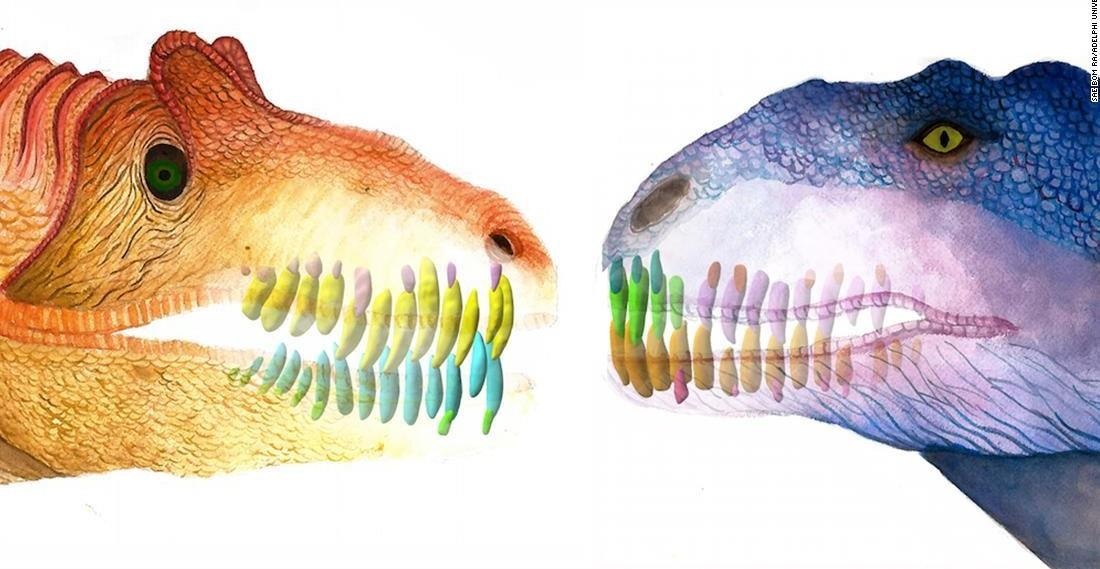 Cu 2 thang, loai khung long nay lai thay rang vi an qua nhieu thit hinh anh