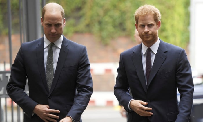 Hoang tu William va Harry anh 1