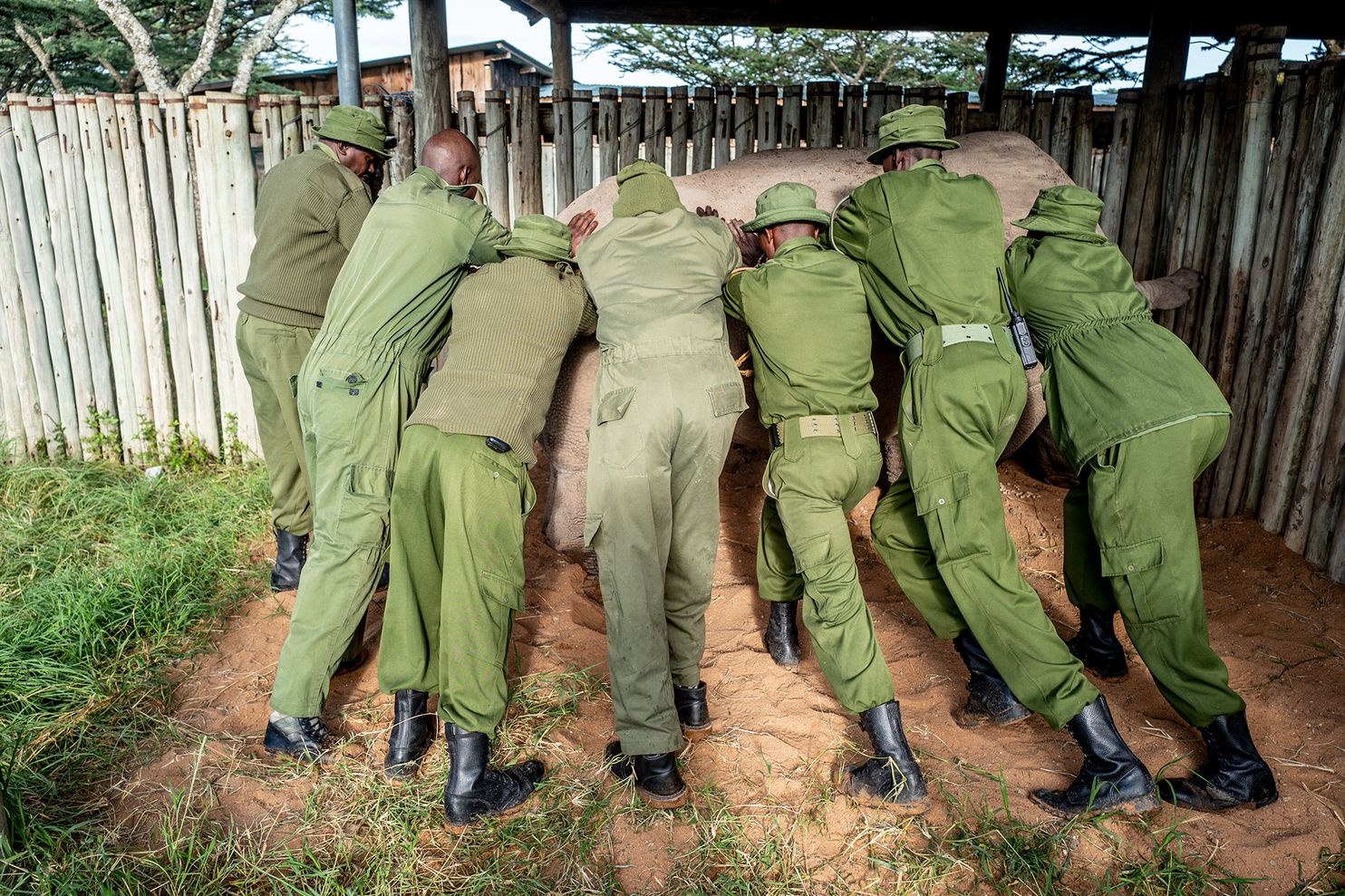 Cuoc chien hoi sinh te giac trang phuong bac tu hai con cai cuoi cung hinh anh