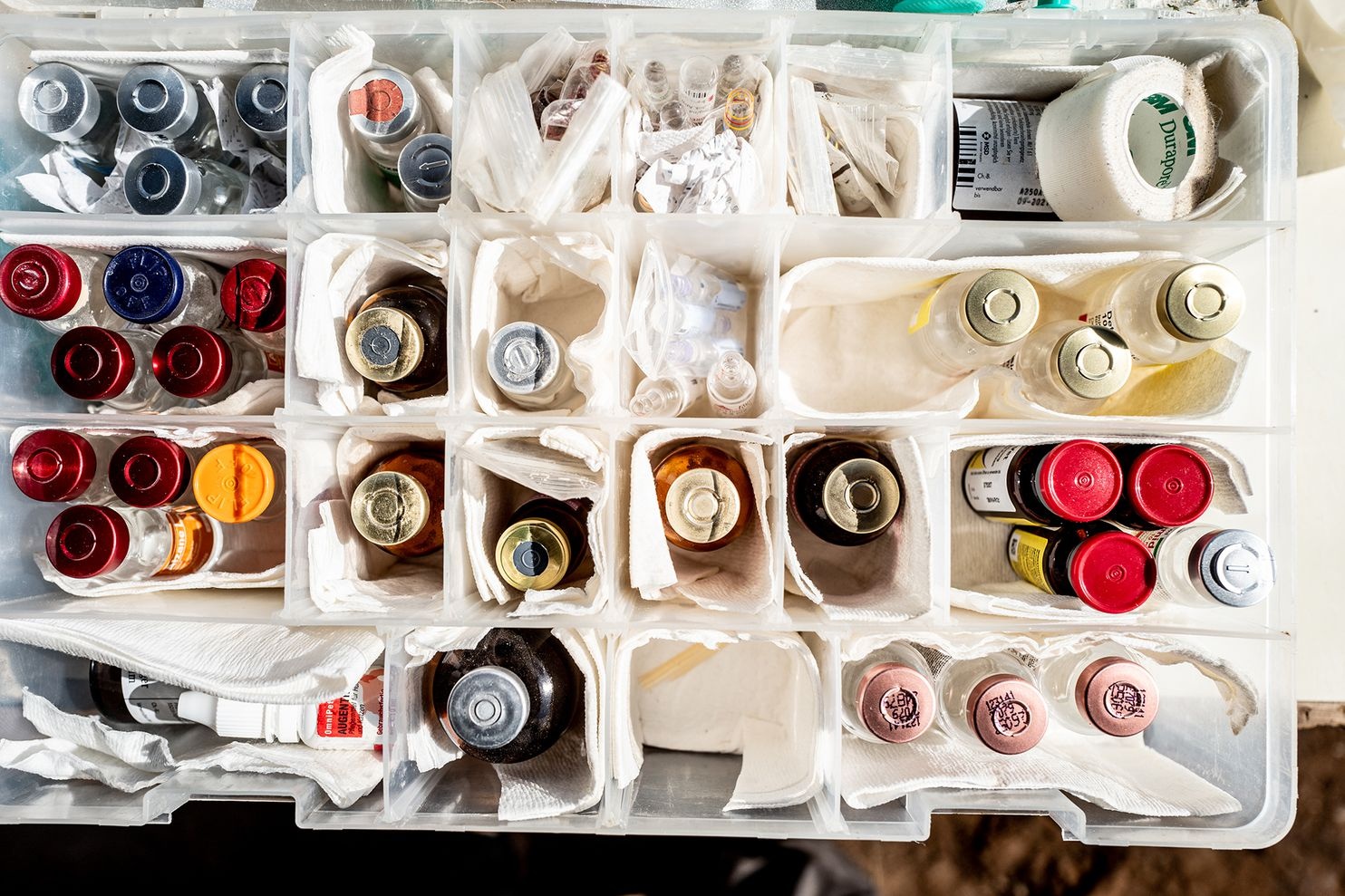 Hoi sinh te giac anh 5