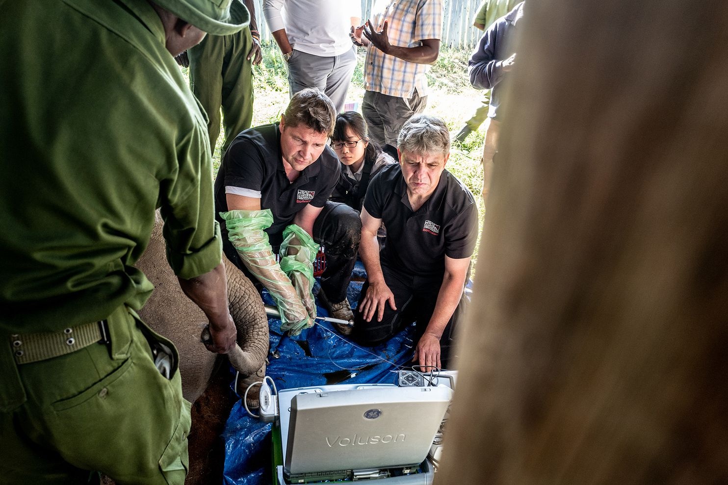 Hoi sinh te giac anh 7