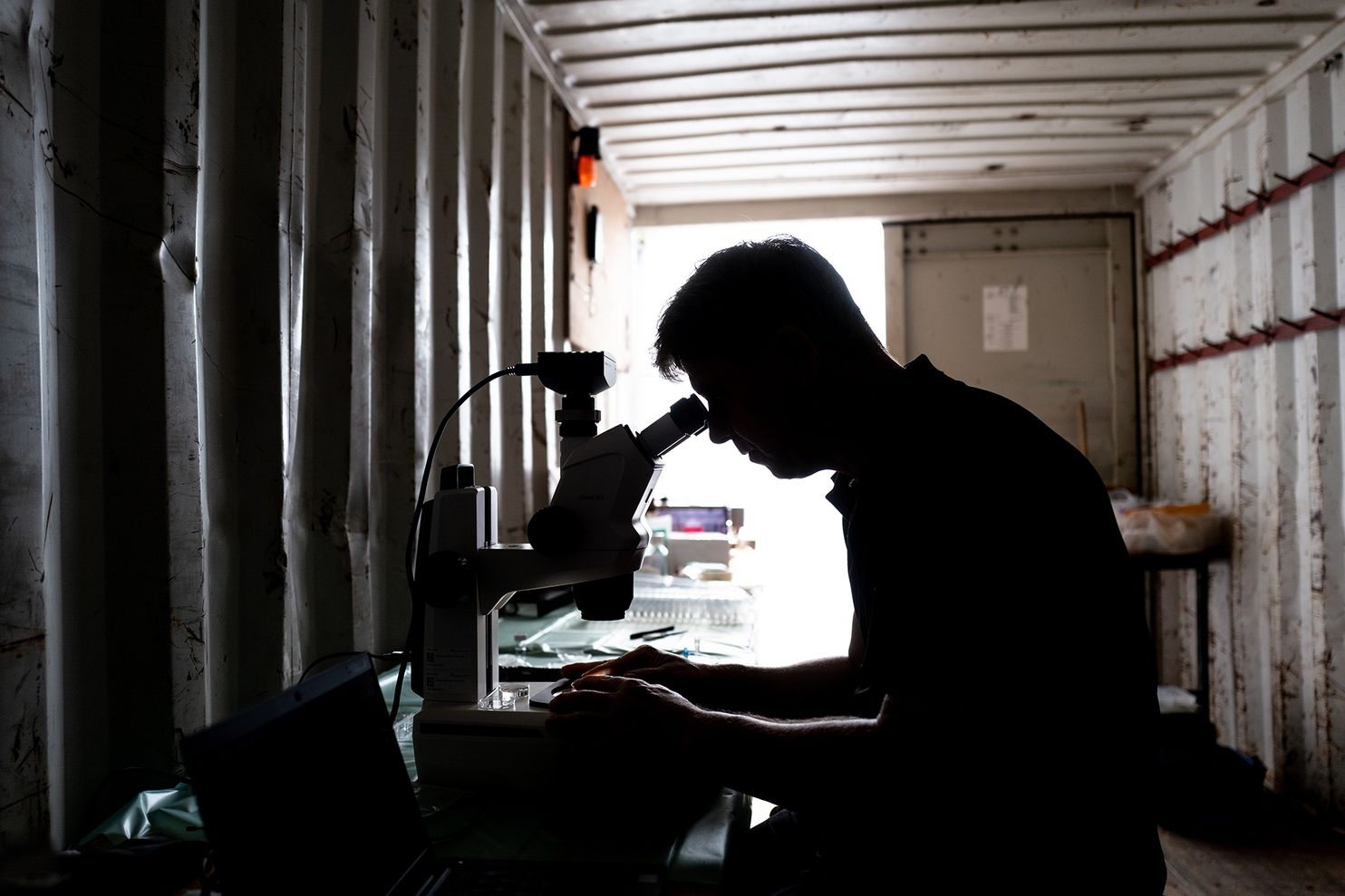 Hoi sinh te giac anh 9