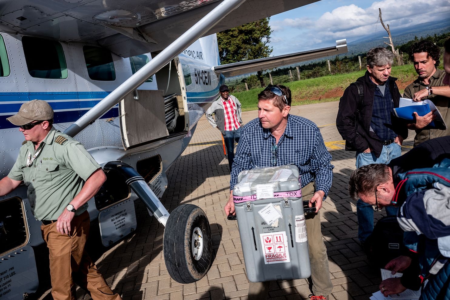 Hoi sinh te giac anh 10