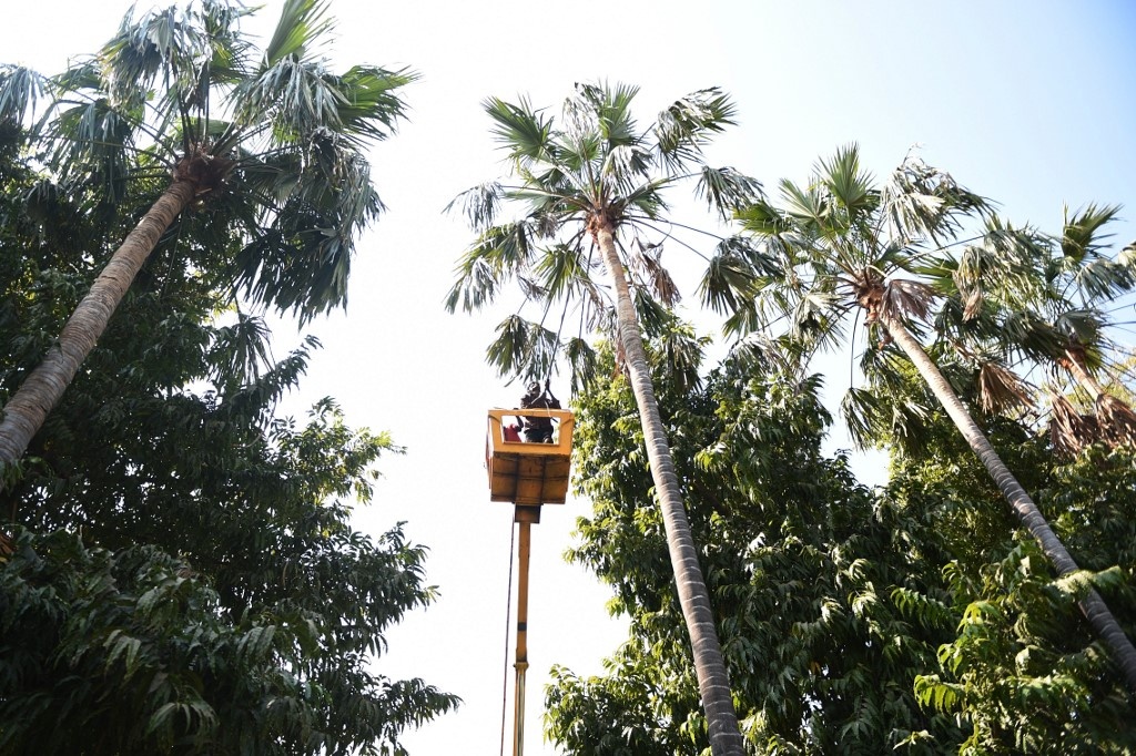 Trump toi tham An Do anh 1