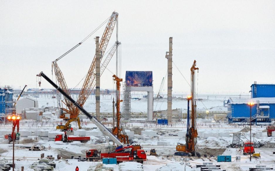 Gau Bac Cuc an thit lan nhau anh 2