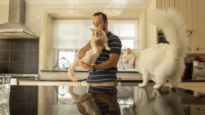 Chu meo noi tieng Wellington anh 1