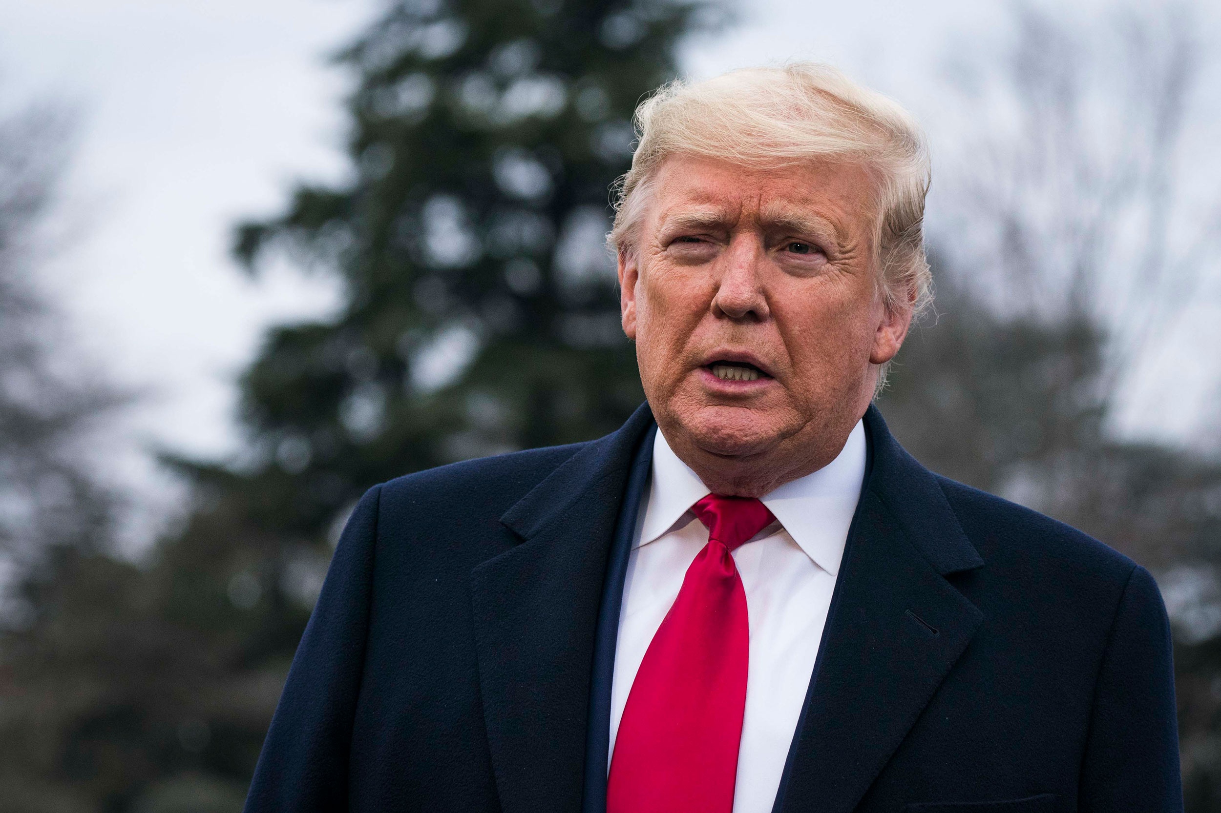 Tong thong Trump khong tin so lieu cua WHO ve ty le tu vong Covid-19 hinh anh