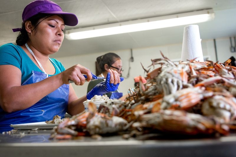 Chinh sach nhap cu TT Trump anh 2