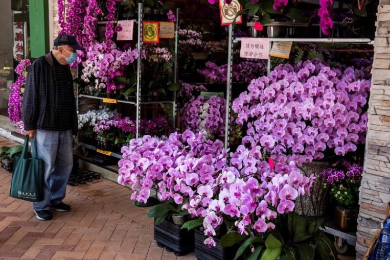 Hang trieu bong hoa lan o Thai Lan bi vut bo vi dich benh hinh anh