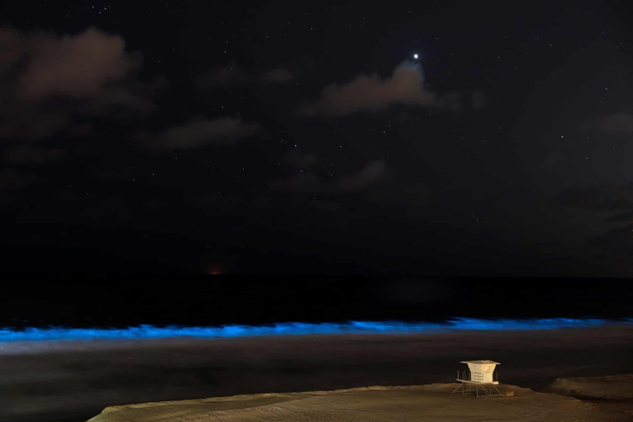 Song bien phat quang o California anh 10