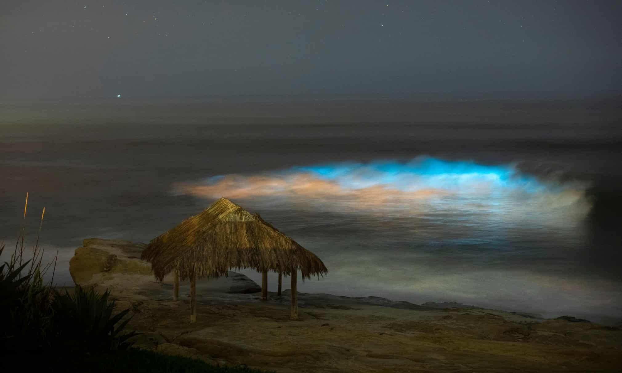 Song bien phat quang o California anh 7