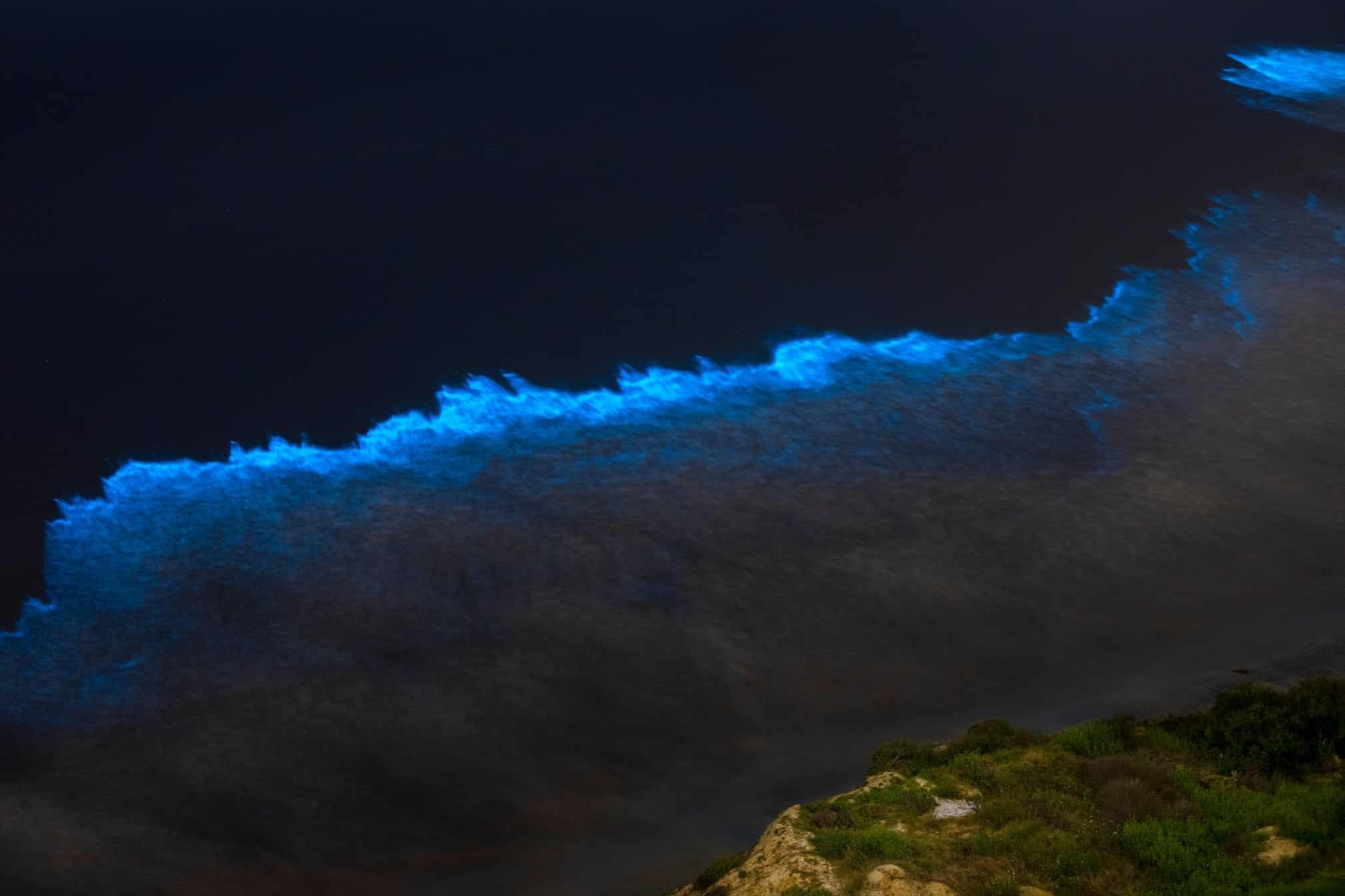 Song bien phat quang o California anh 8