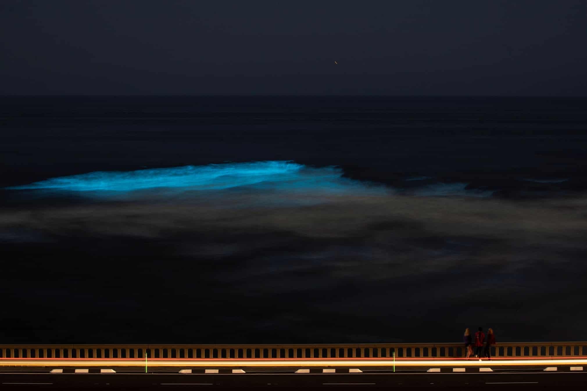 Song bien phat quang o California anh 9