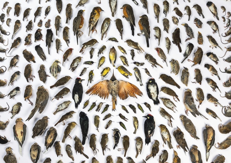 Anh thien nhien dep nhat anh 12