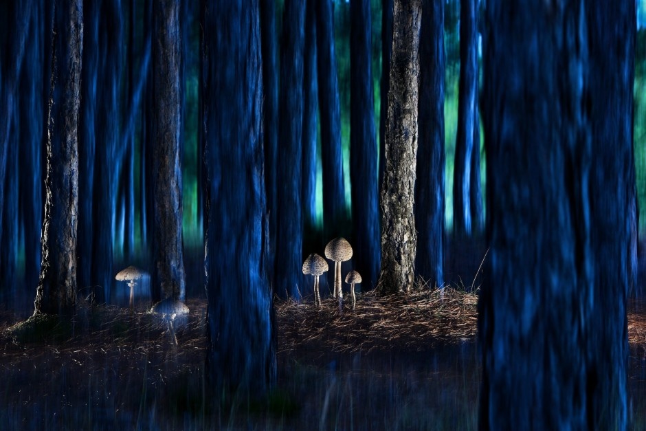 Anh thien nhien dep nhat anh 6