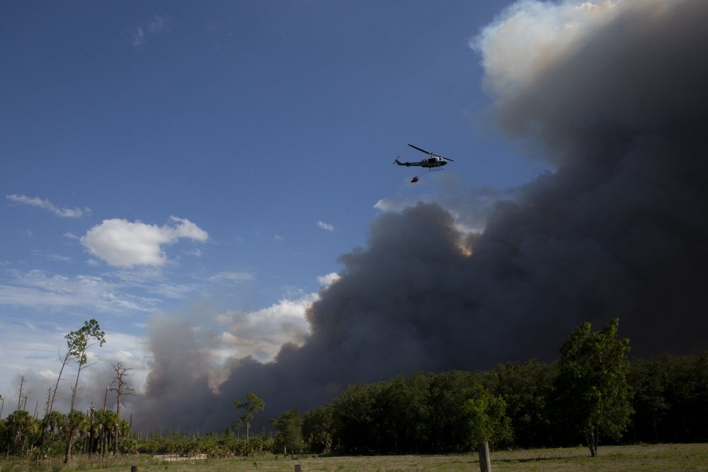 Duong cao toc lien bang My phai dong cua vi chay rung o bang Florida hinh anh