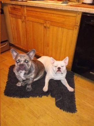 Nguoi phu nu My bi cho nha can tu vong anh 1