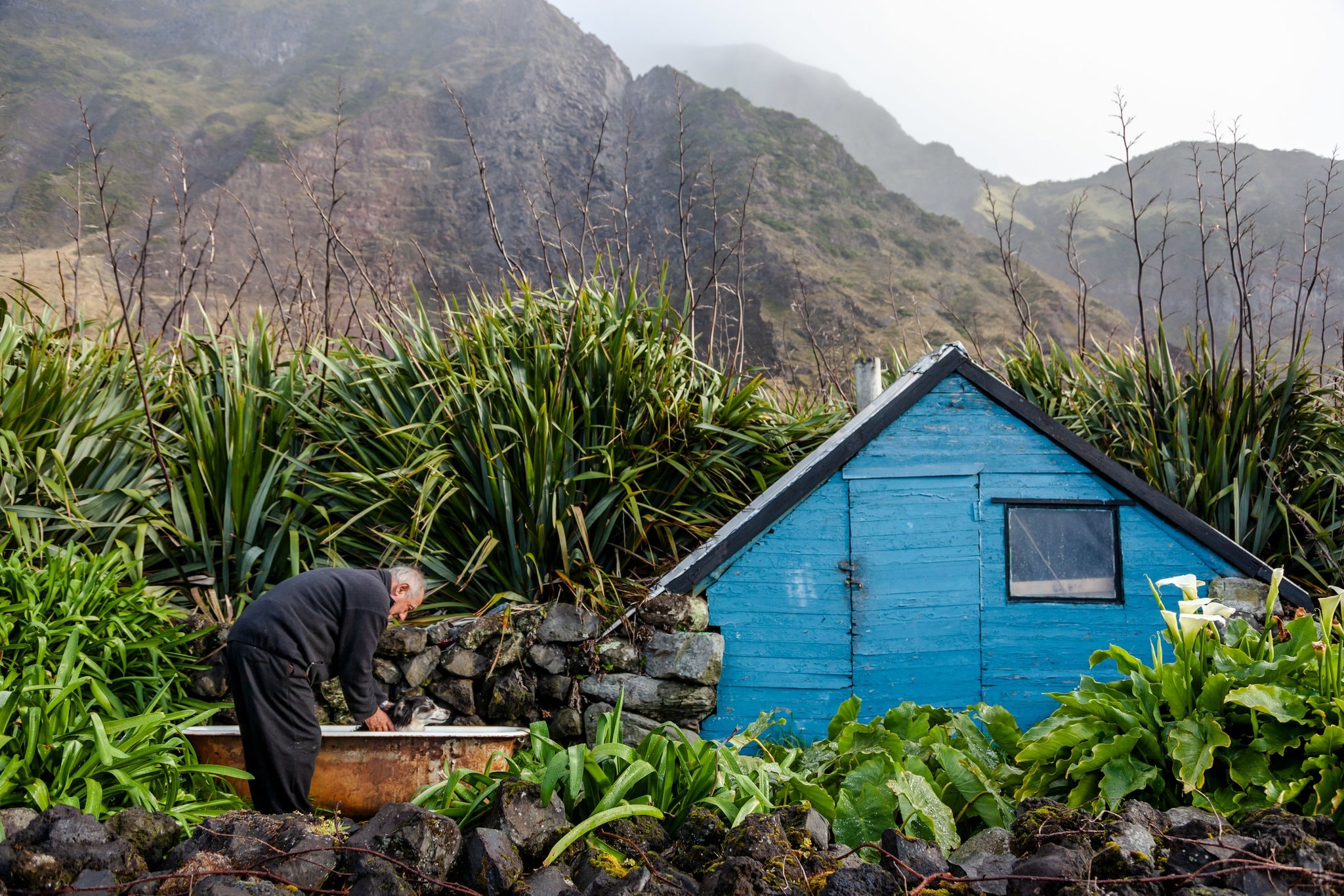 Cuoc song o hon dao heo lanh nhat the gioi anh 6