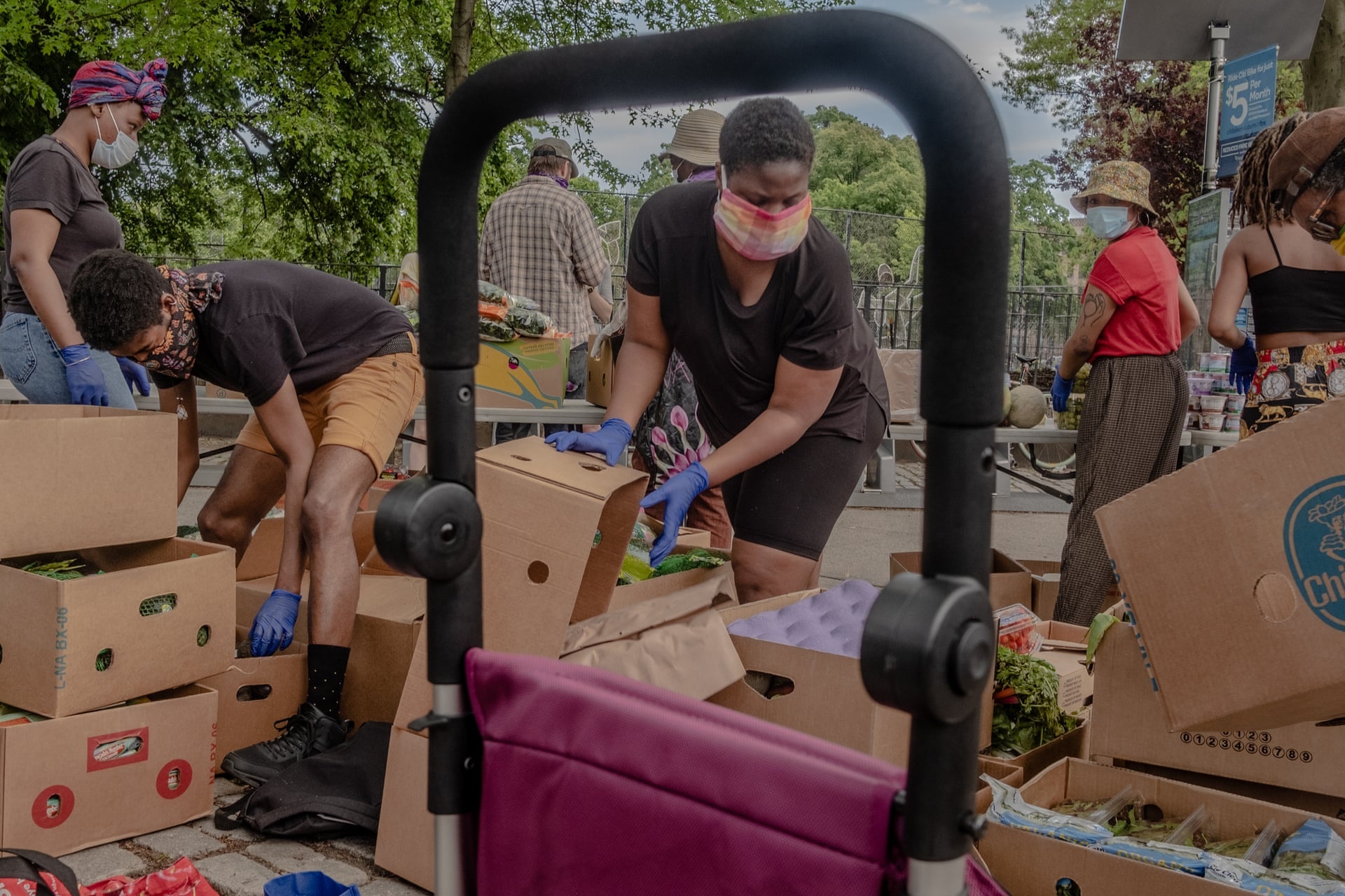 Mua he dac biet o New York anh 7