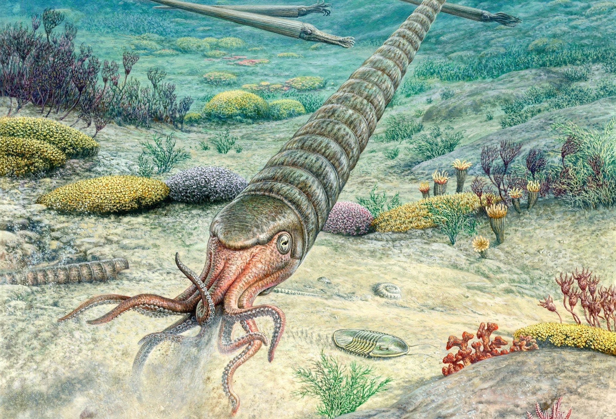 Nui lua khong lo tung xoa sach su song tren Trai Dat hinh anh