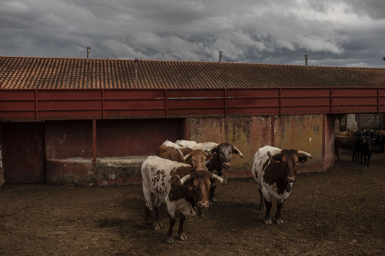 Covid-19 de doa van hoa dau bo tot anh 4