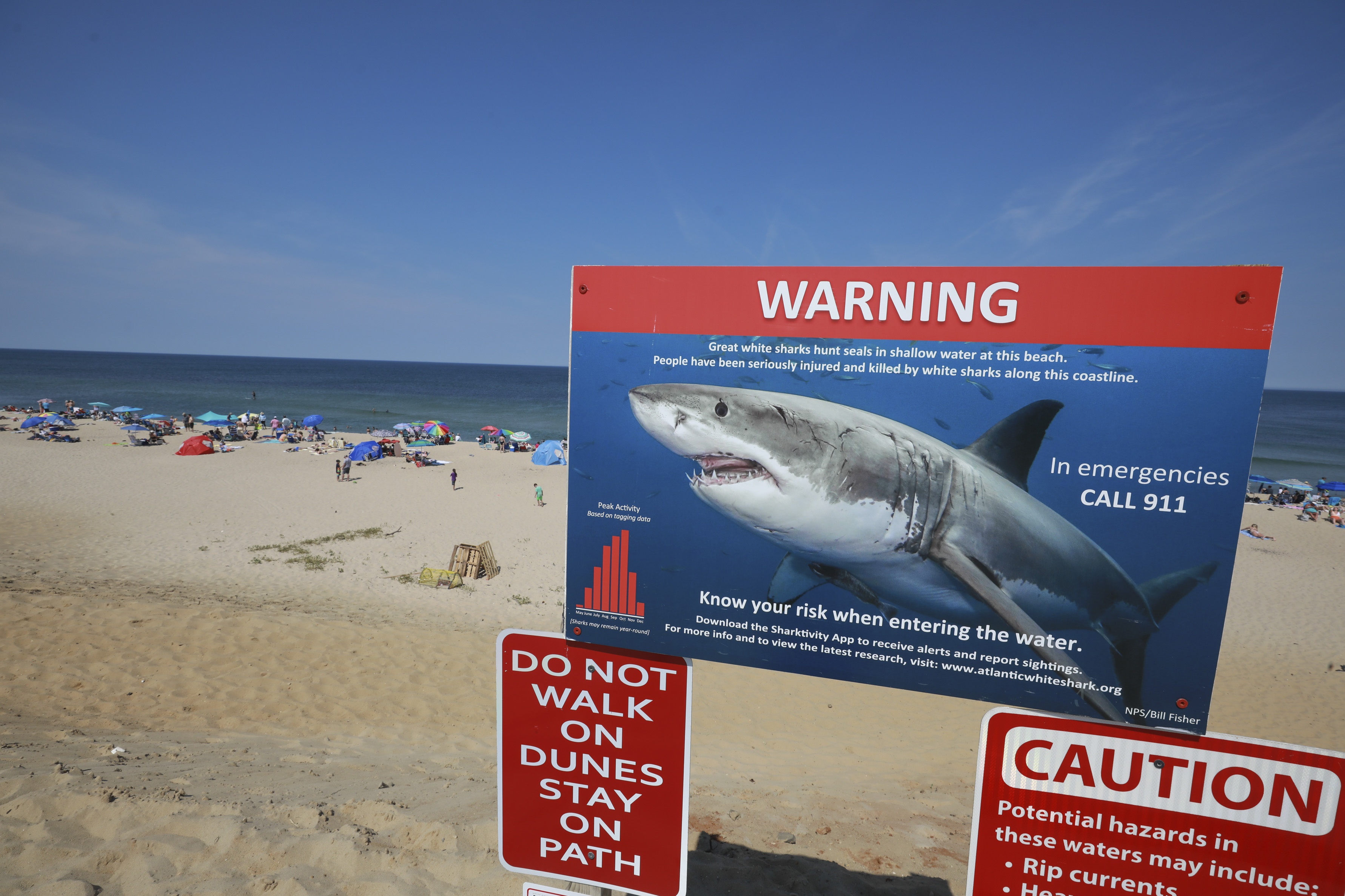 Bai bien noi tieng o My phat hien ca map trang khap noi hinh anh