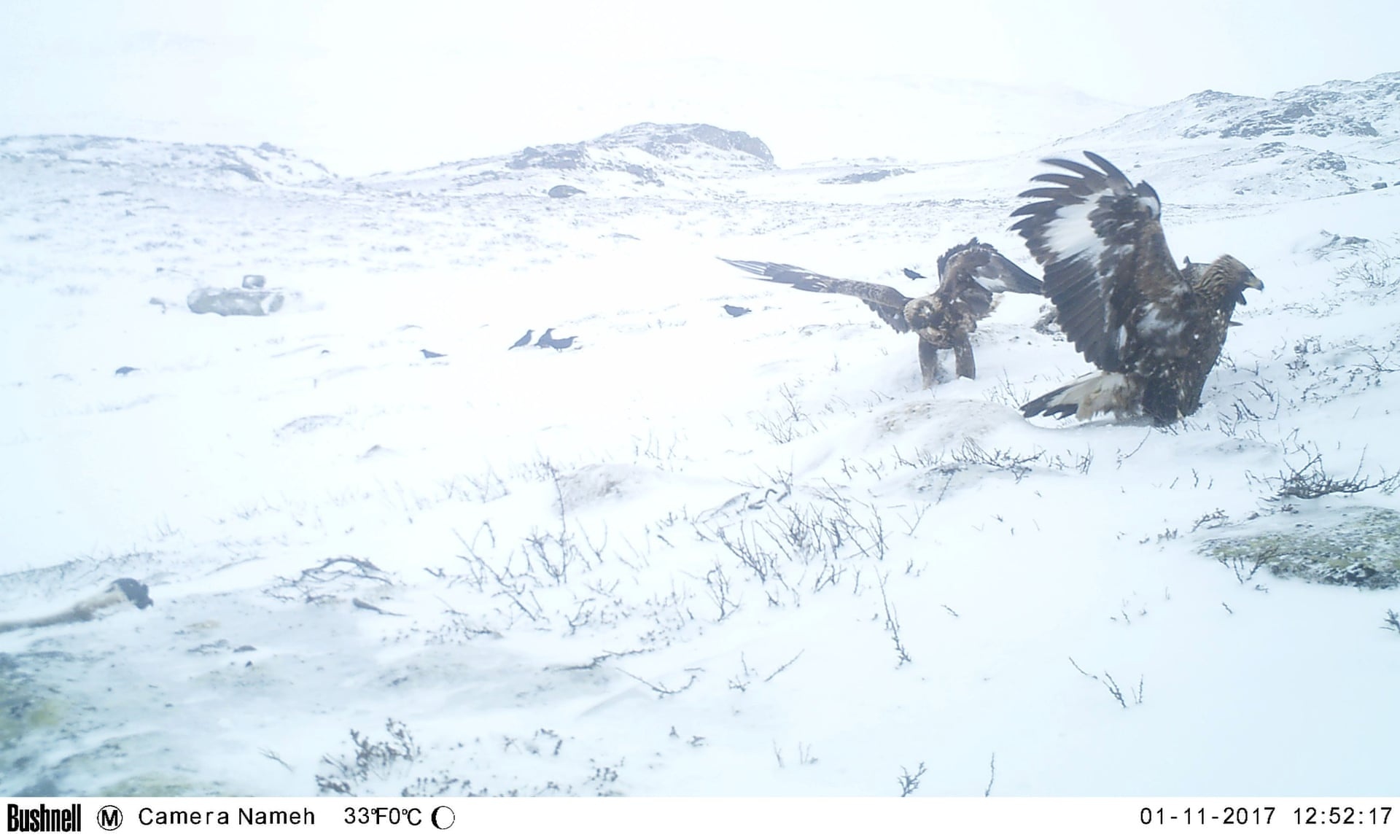 tuan loc chet hang loat vi set danh anh 3