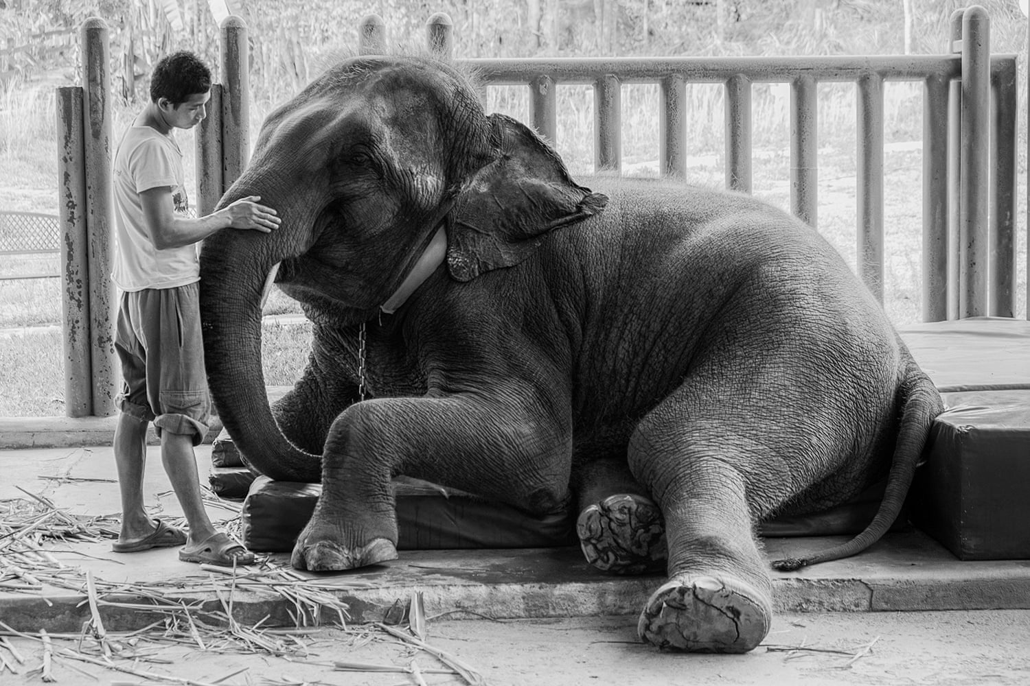 Trien lam anh Helsinki 2020 anh 5