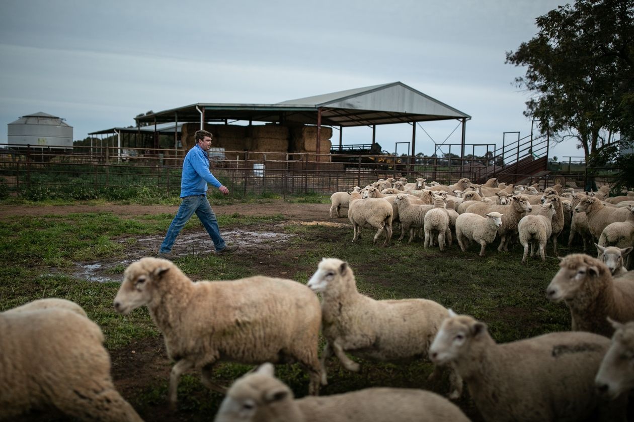 cong trinh dap gay tranh cai o Australia anh 3