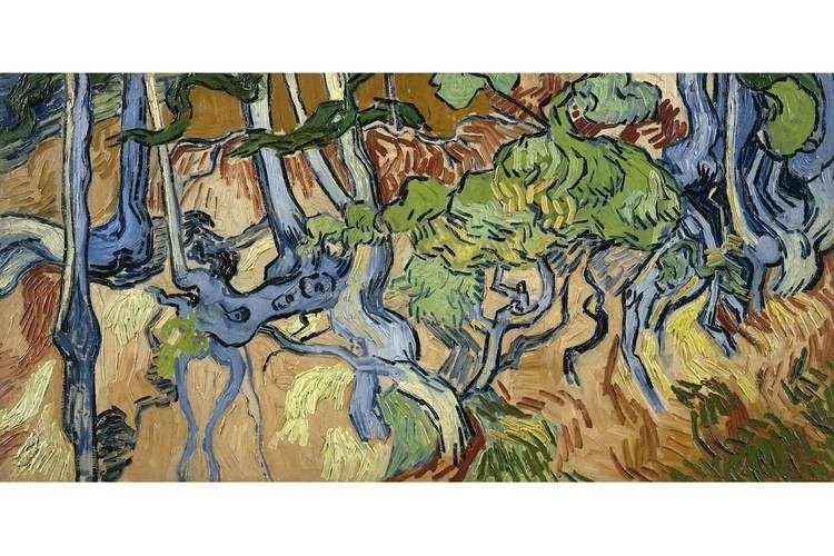 Tim ra noi Van Gogh ve buc tranh cuoi cung truoc khi tu tu hinh anh