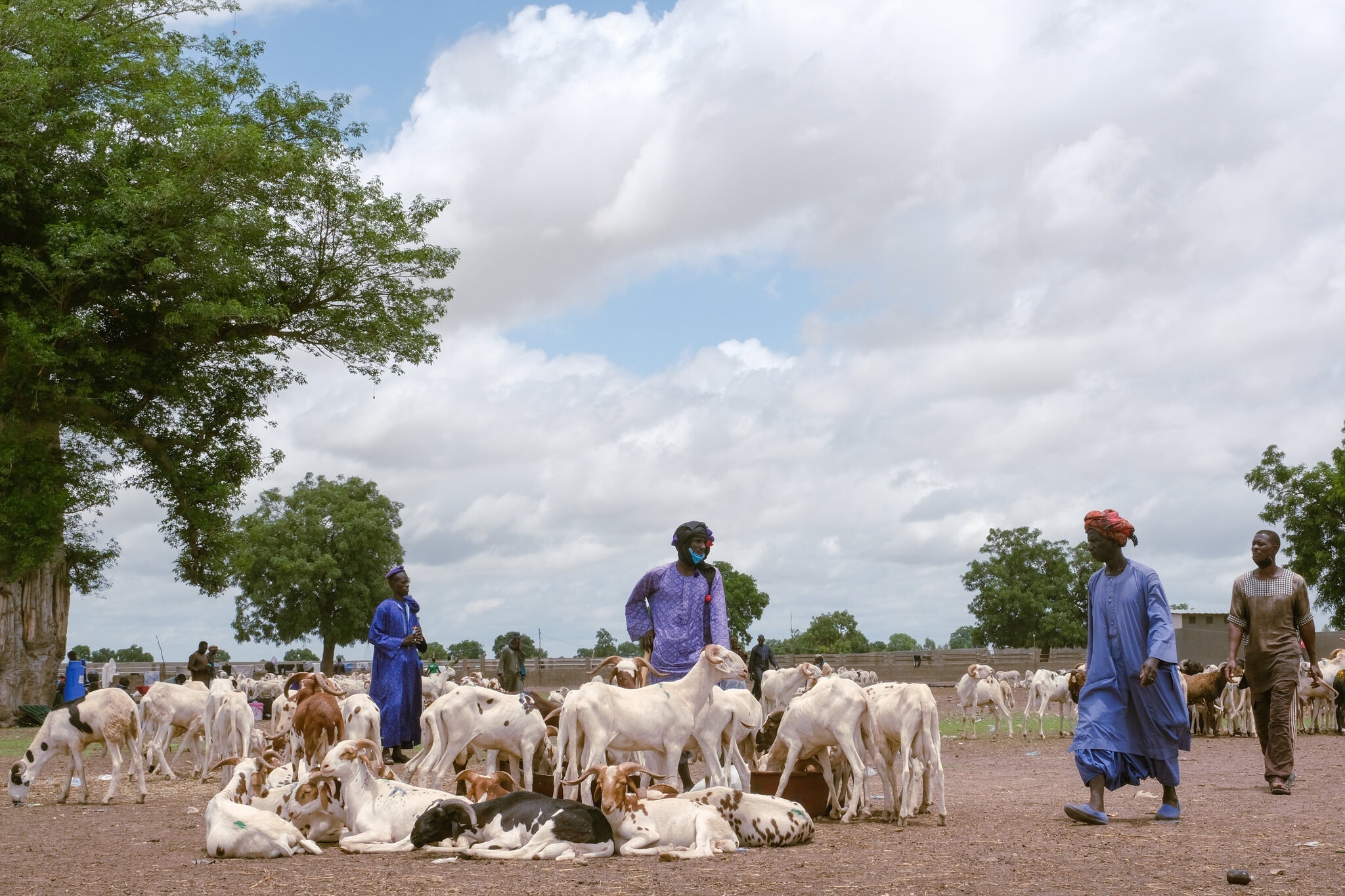 Covid-19 thay doi nghi le Hoi giao cua Senegal anh 1