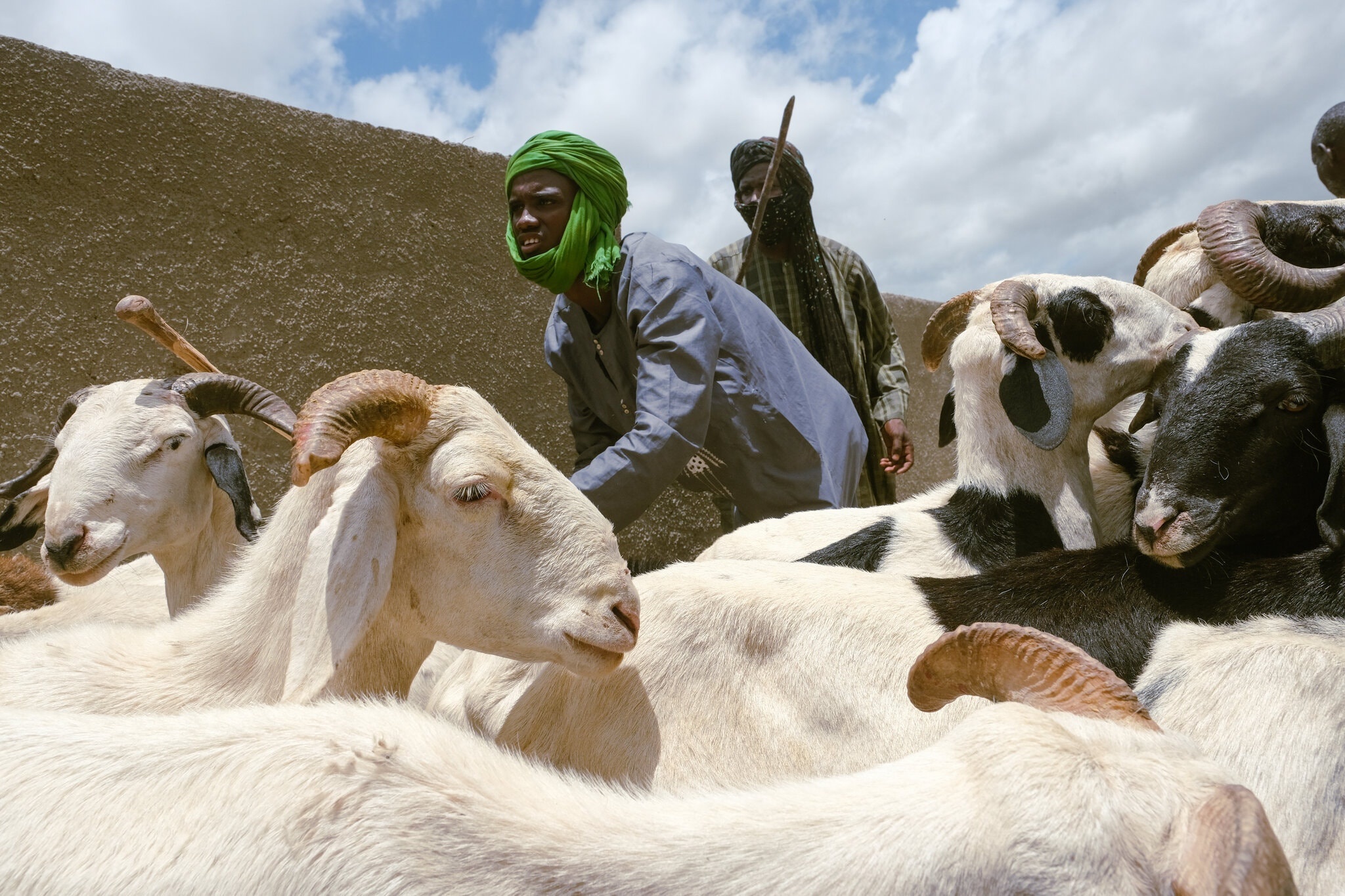Het canh duong pho nhuom do mau cuu hien te vi Covid-19 hinh anh