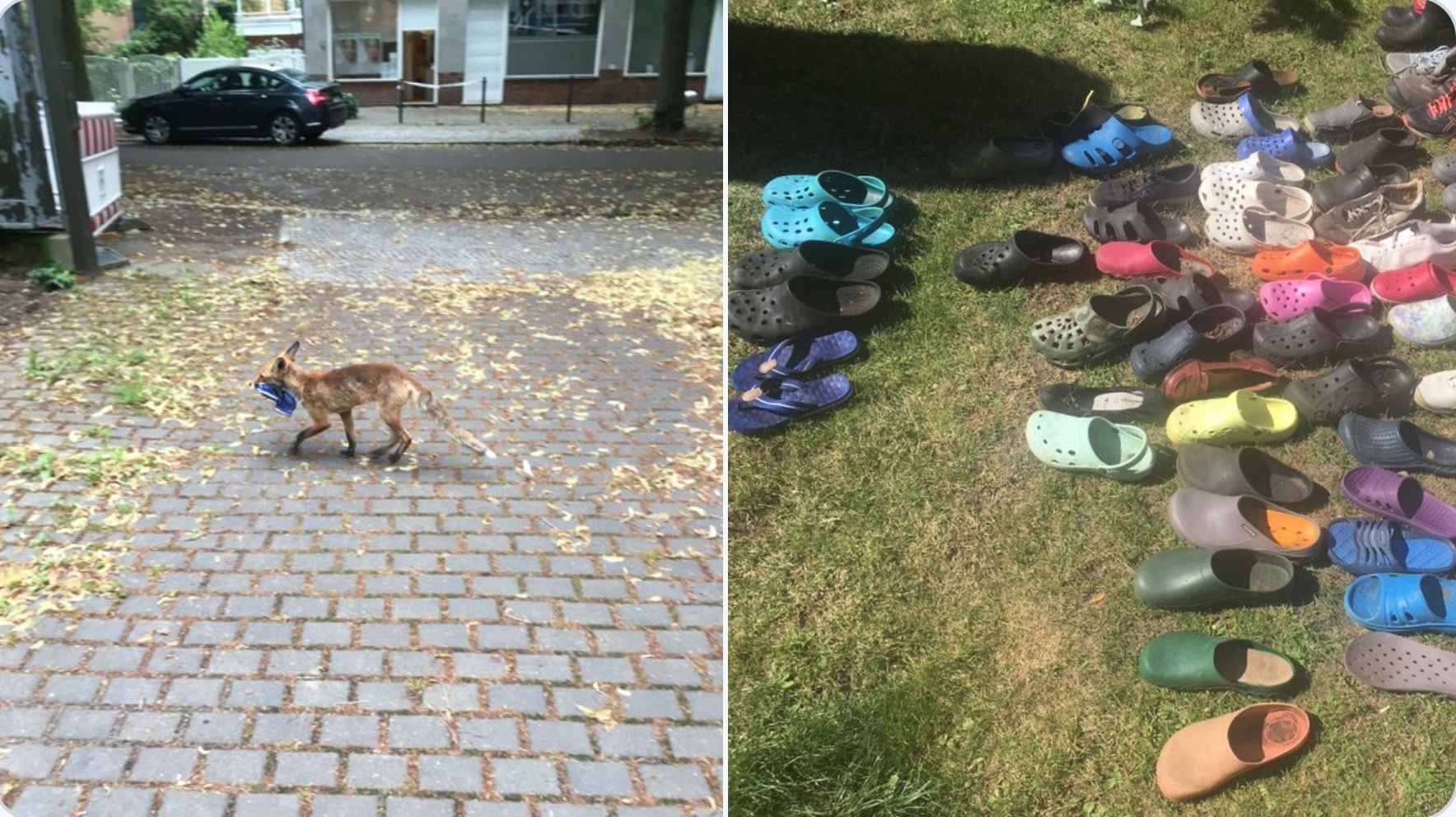 Cao an trom giay o Berlin anh 1