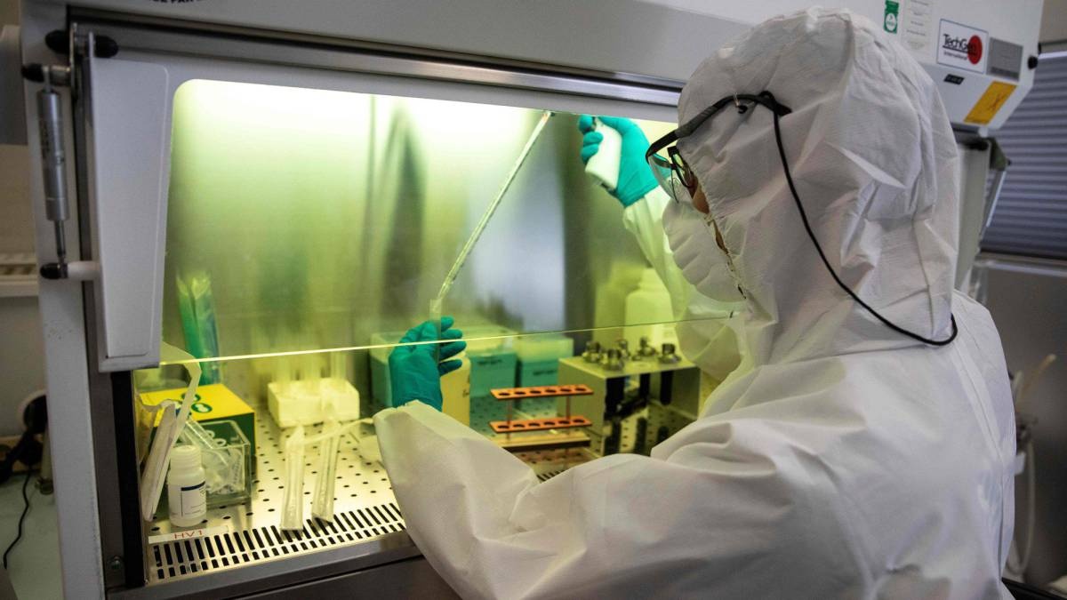 Dieu tra ve nguon goc Covid-19 anh 1