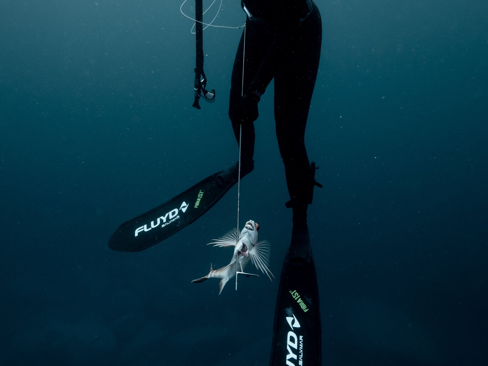 lan bien ban ca o Sydney anh 5