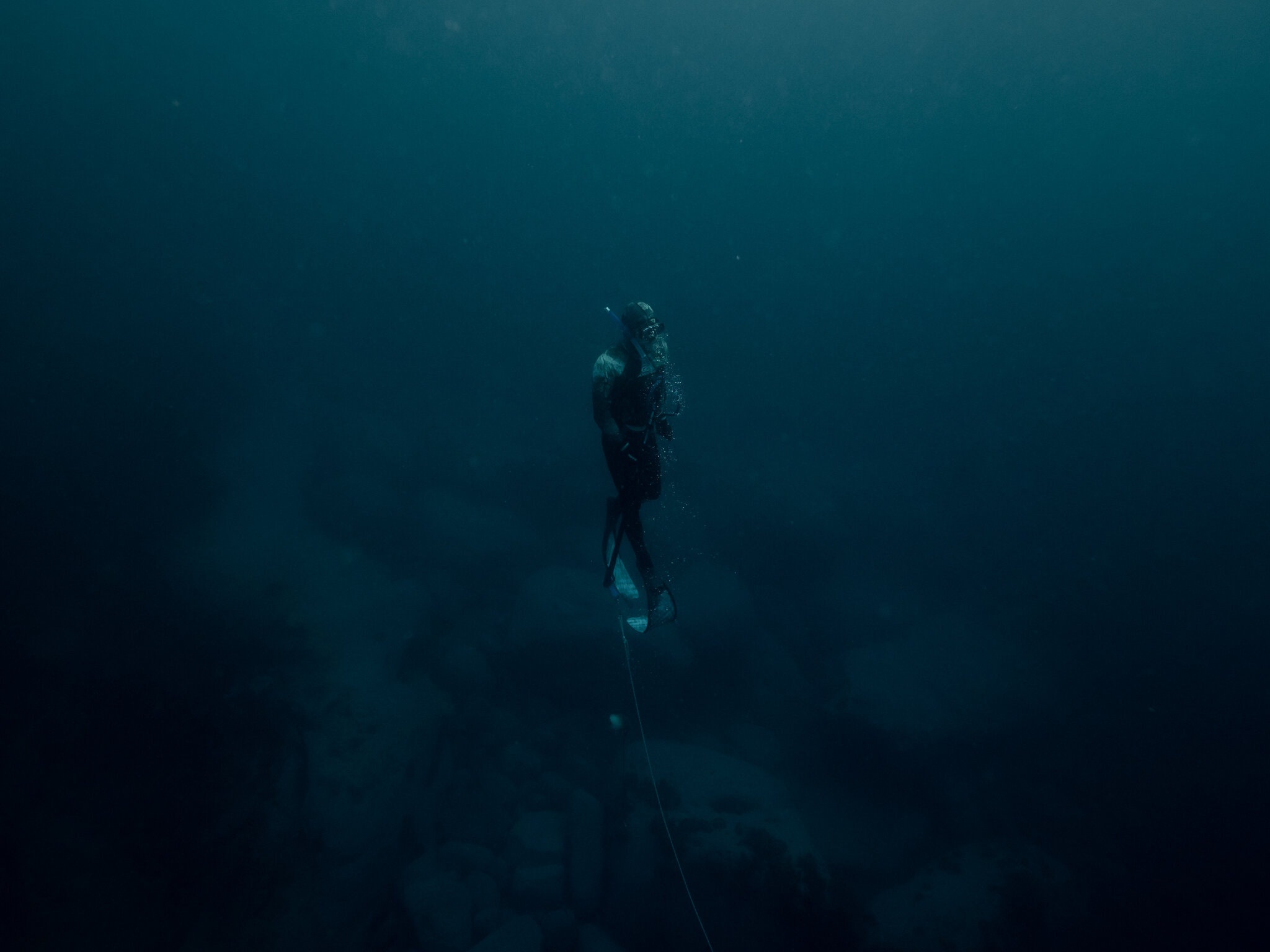 lan bien ban ca o Sydney anh 6