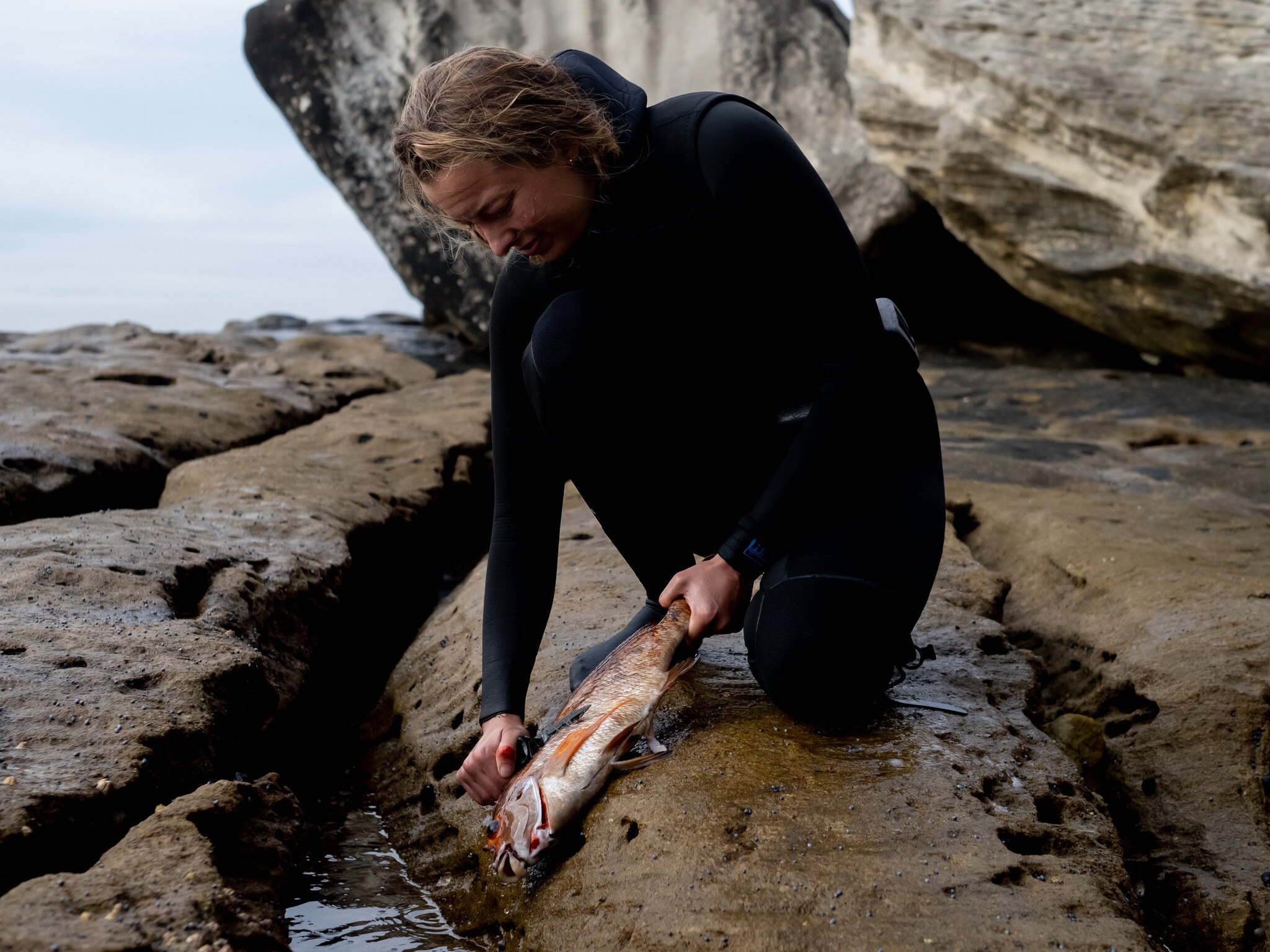 lan bien ban ca o Sydney anh 8