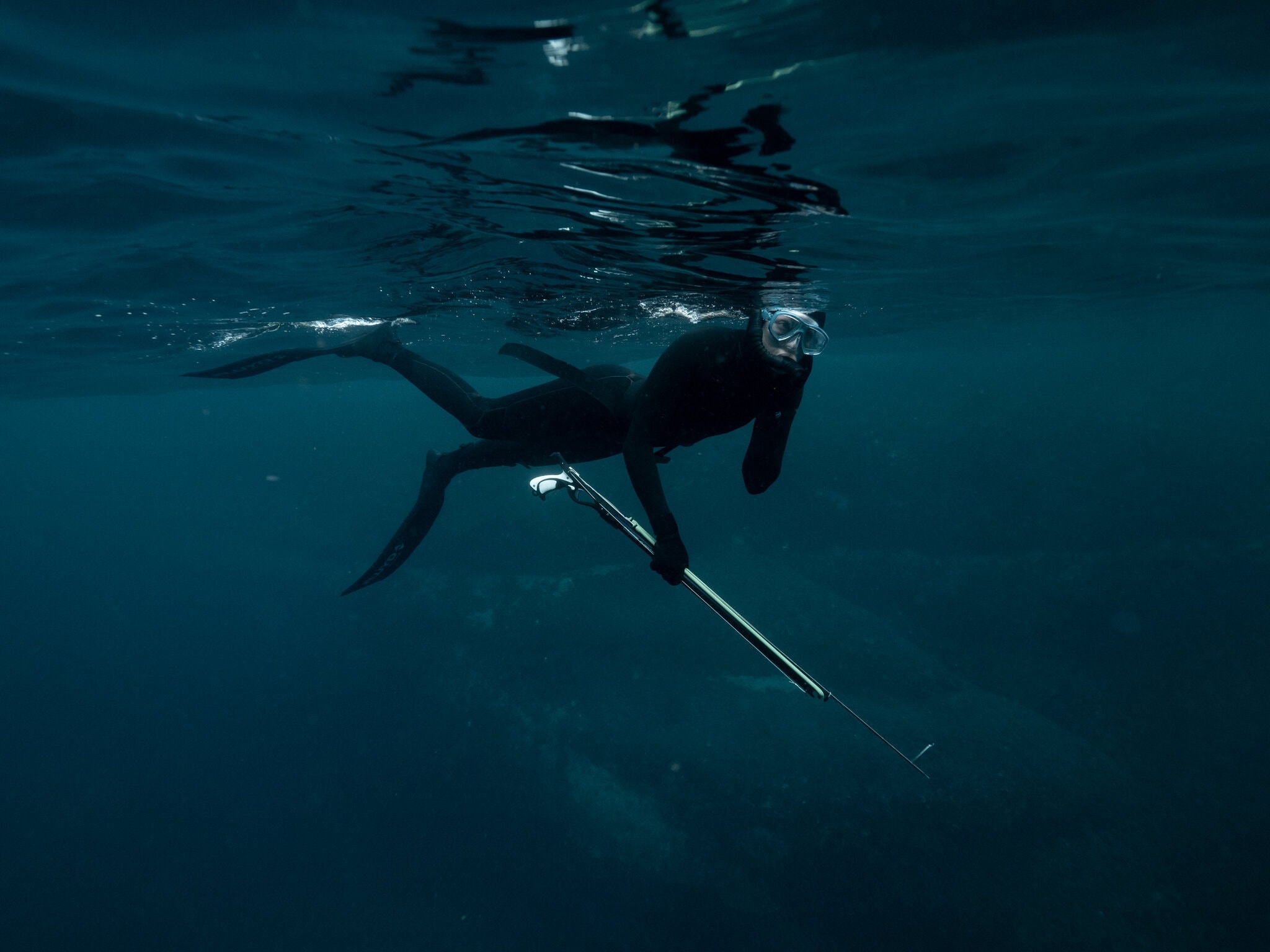 lan bien ban ca o Sydney anh 7