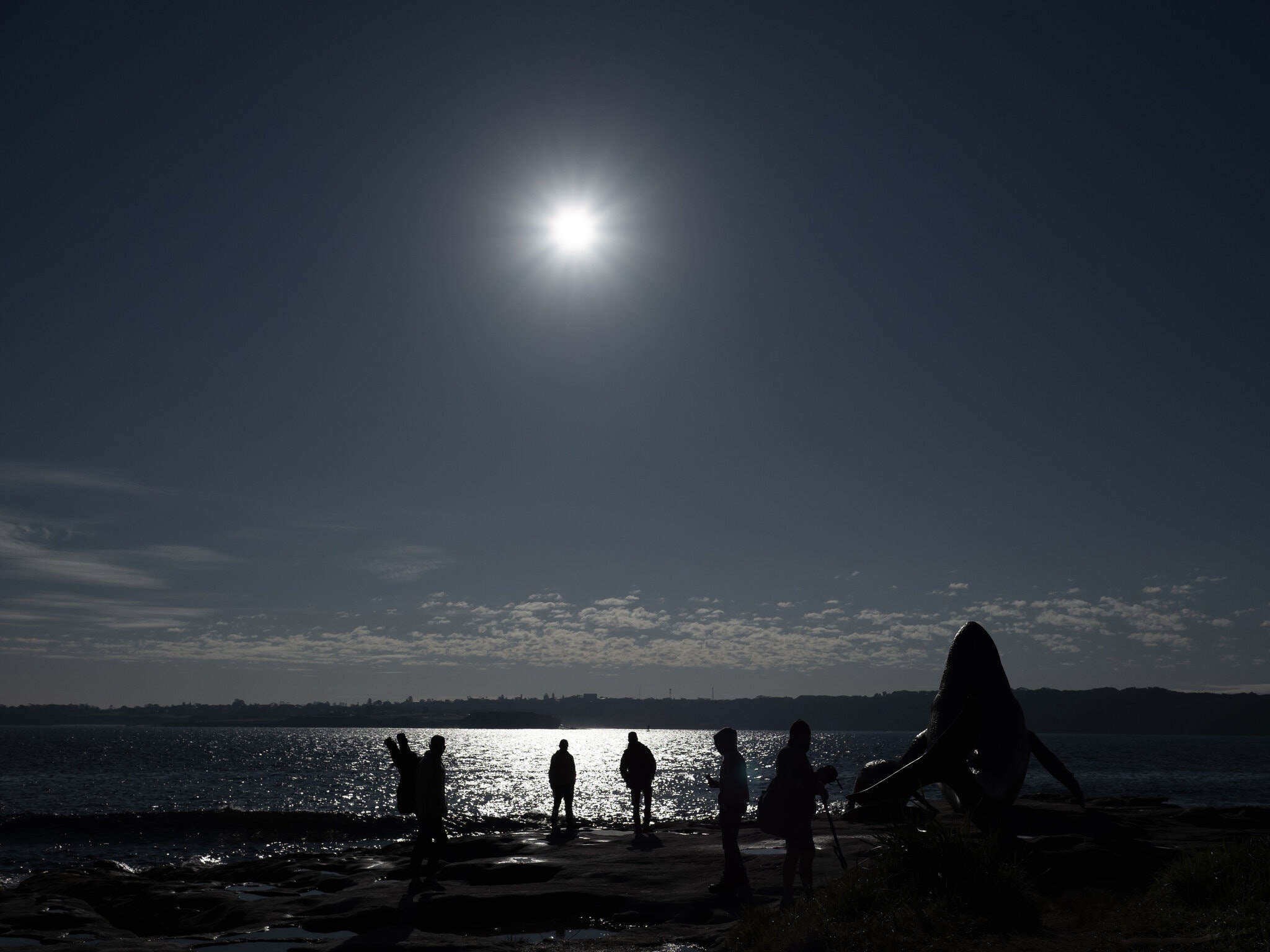 lan bien ban ca o Sydney anh 9