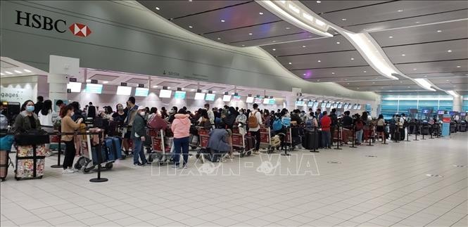 Hon 300 nguoi Viet tu Han Quoc va Canada ve nuoc hinh anh