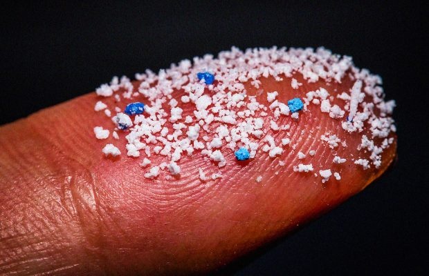 Cac nha khoa hoc My tim thay hat vi nhua trong noi tang nguoi hinh anh