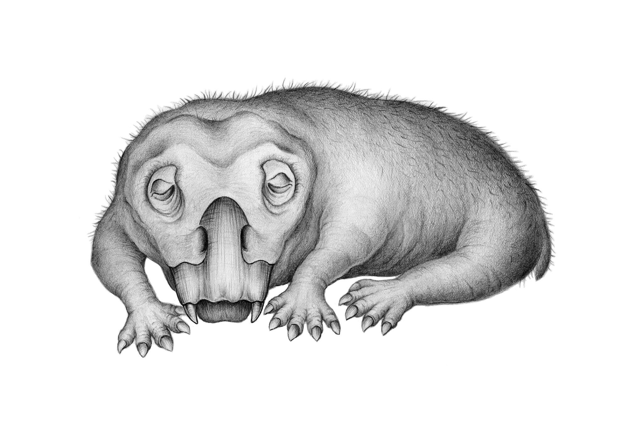 loai vat ngu dong cach day 250 trieu nam anh 1