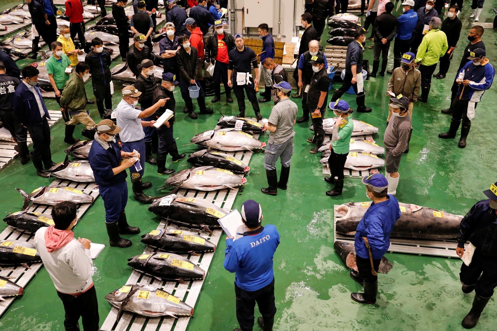 Cho hai san lon nhat the gioi dieu dung vi Covid-19 anh 1