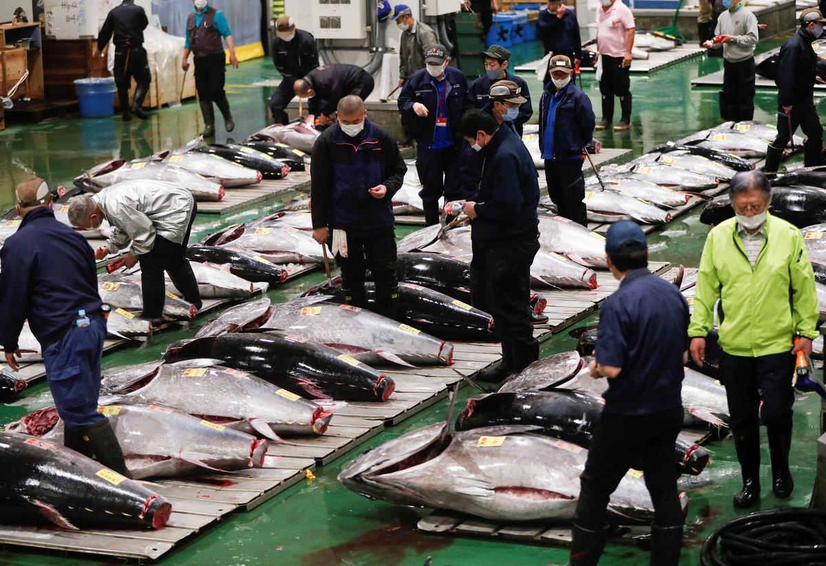 Cho ca ngu lon nhat the gioi o Nhat Ban dieu dung vi Covid-19 hinh anh