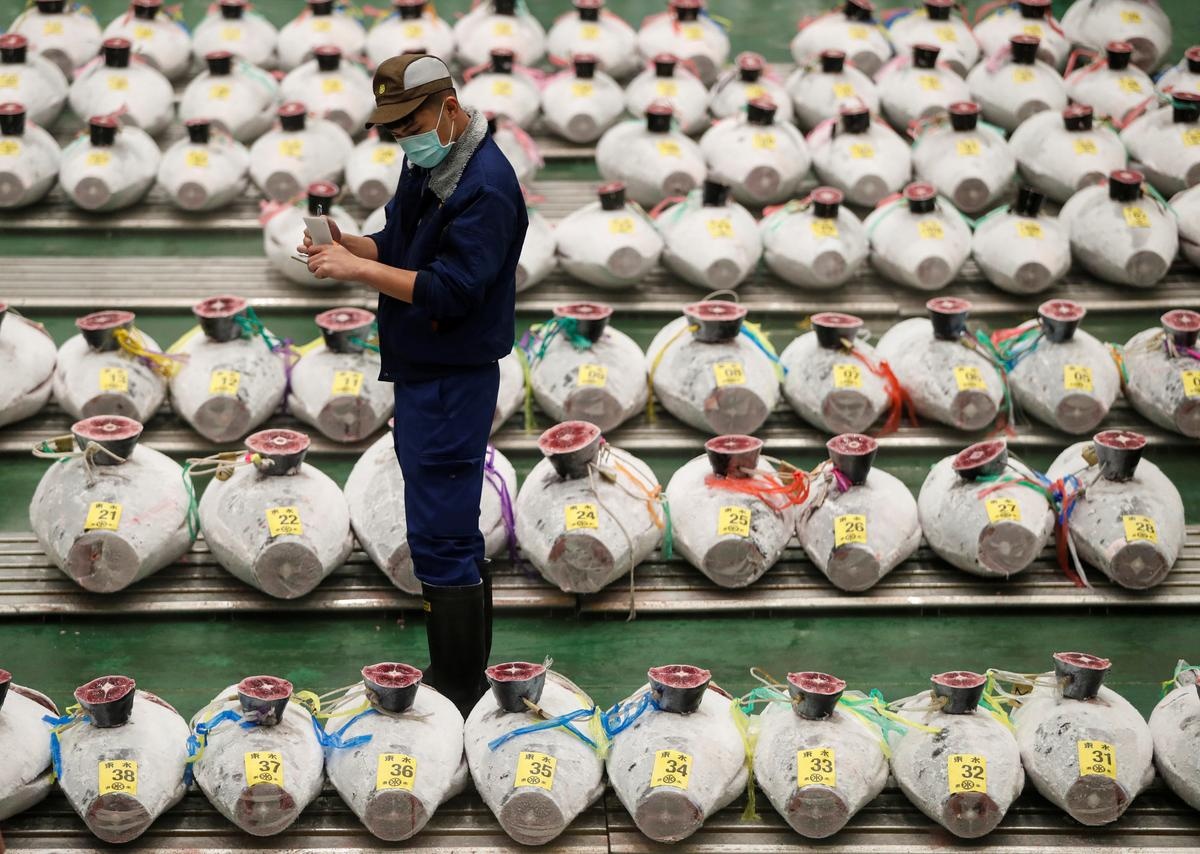 Cho hai san lon nhat the gioi dieu dung vi Covid-19 anh 3