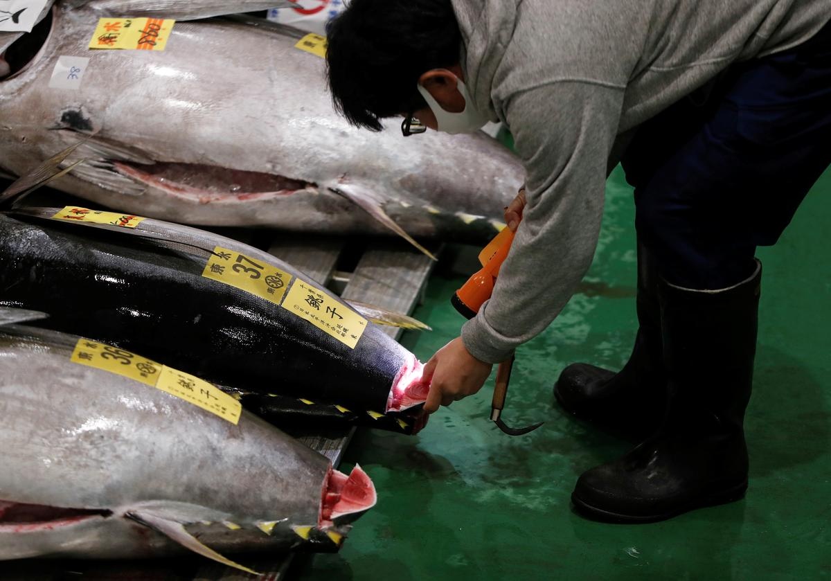 Cho hai san lon nhat the gioi dieu dung vi Covid-19 anh 4