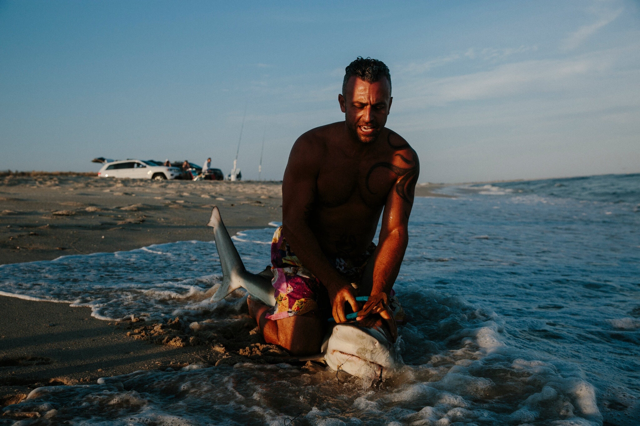 Cau ca map o New York anh 5