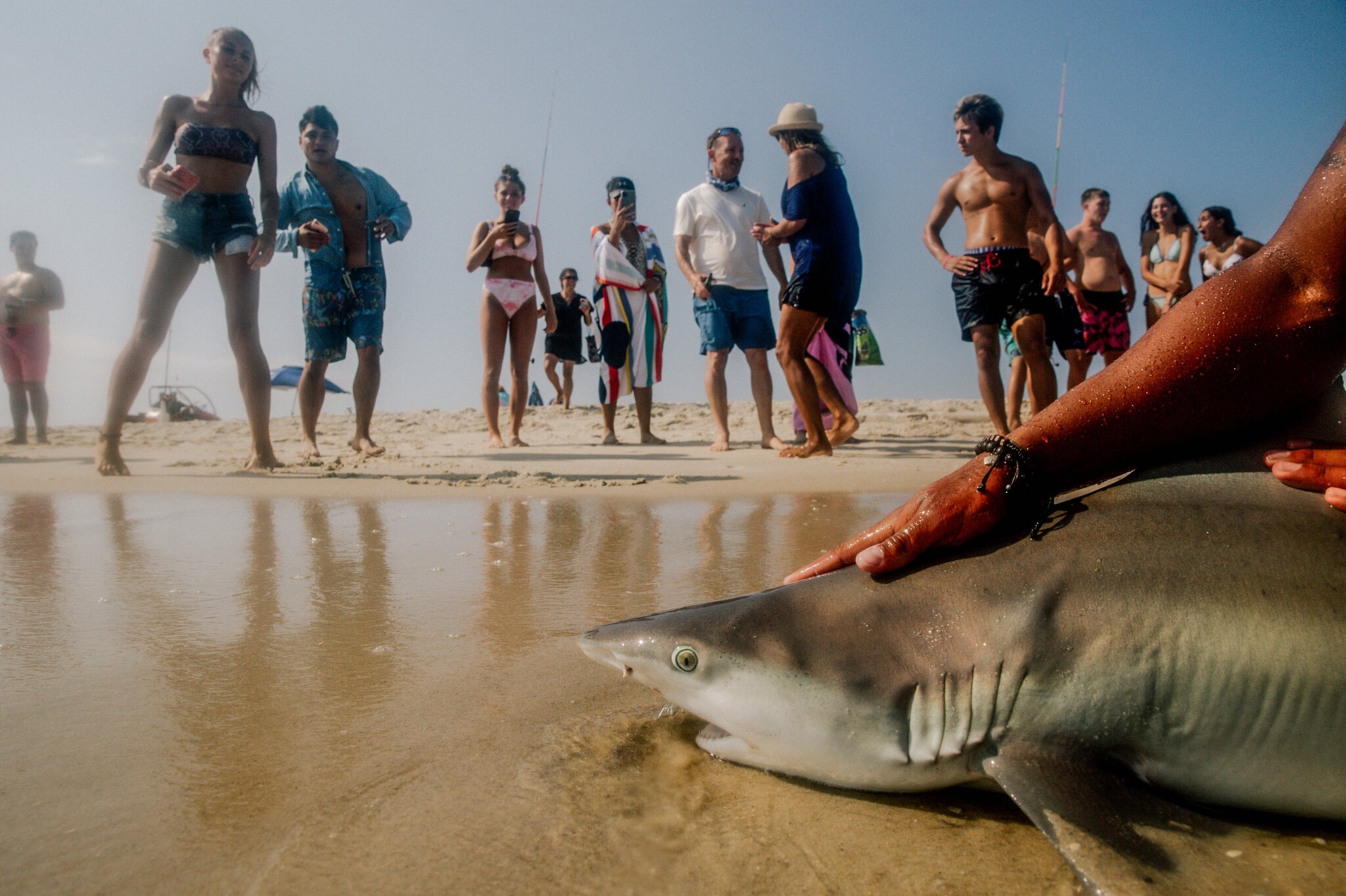 Cau ca map o New York anh 8