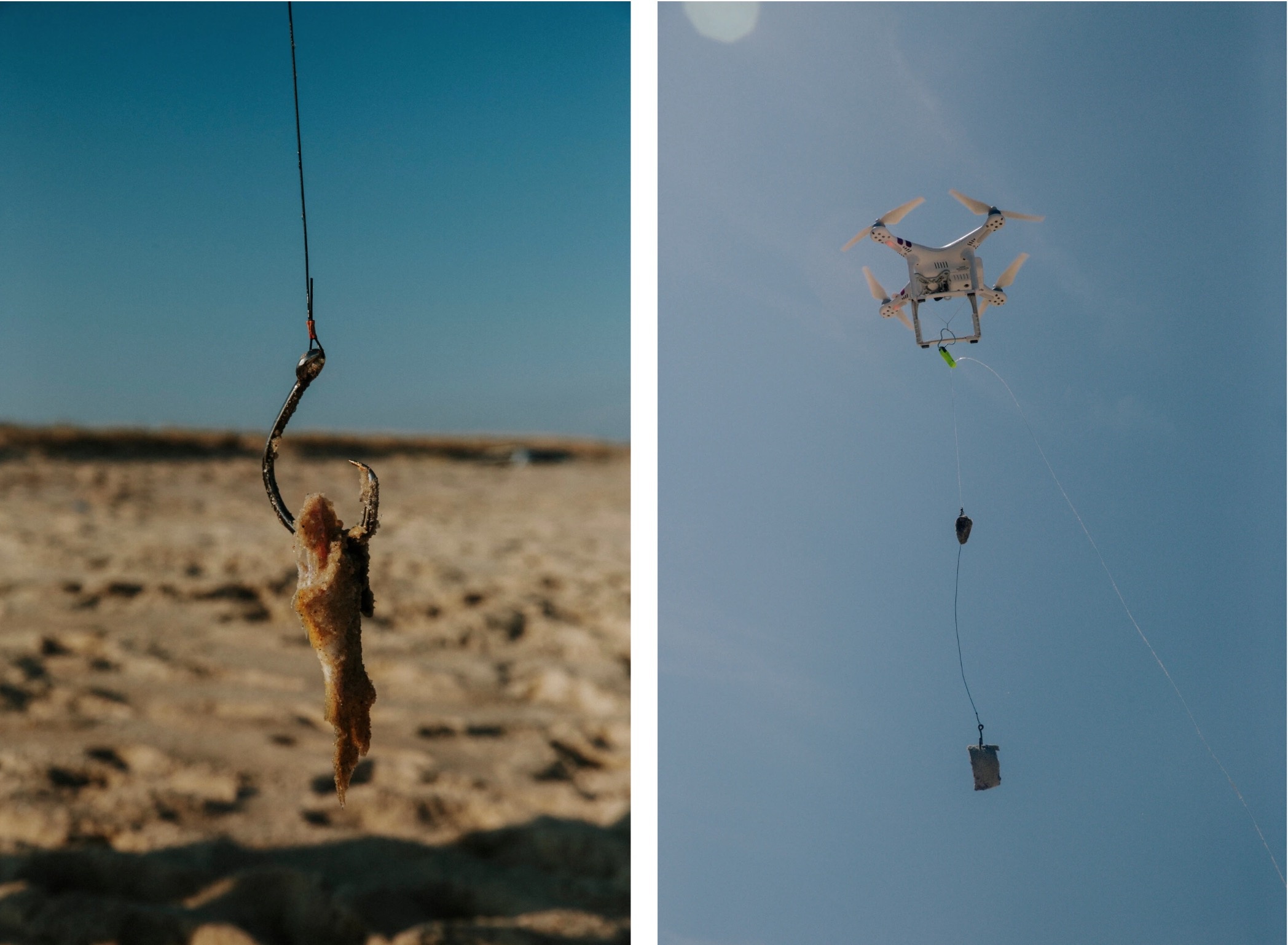 Cau ca map o New York anh 3